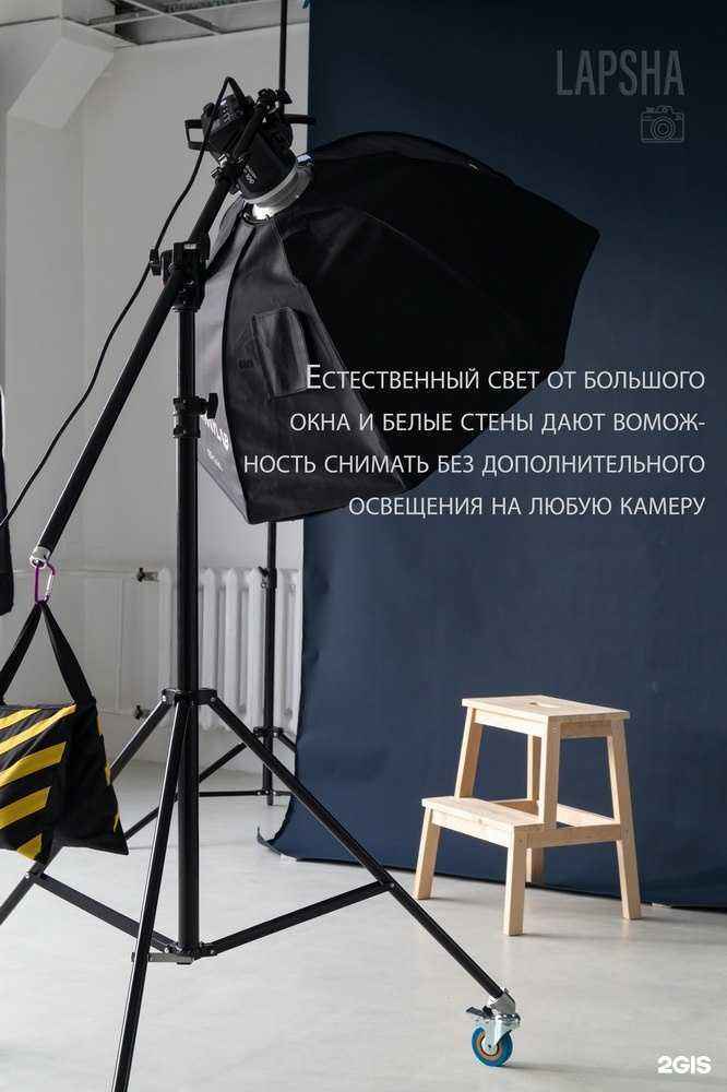 Отзывы на компанию Lapsha в Перми c фото