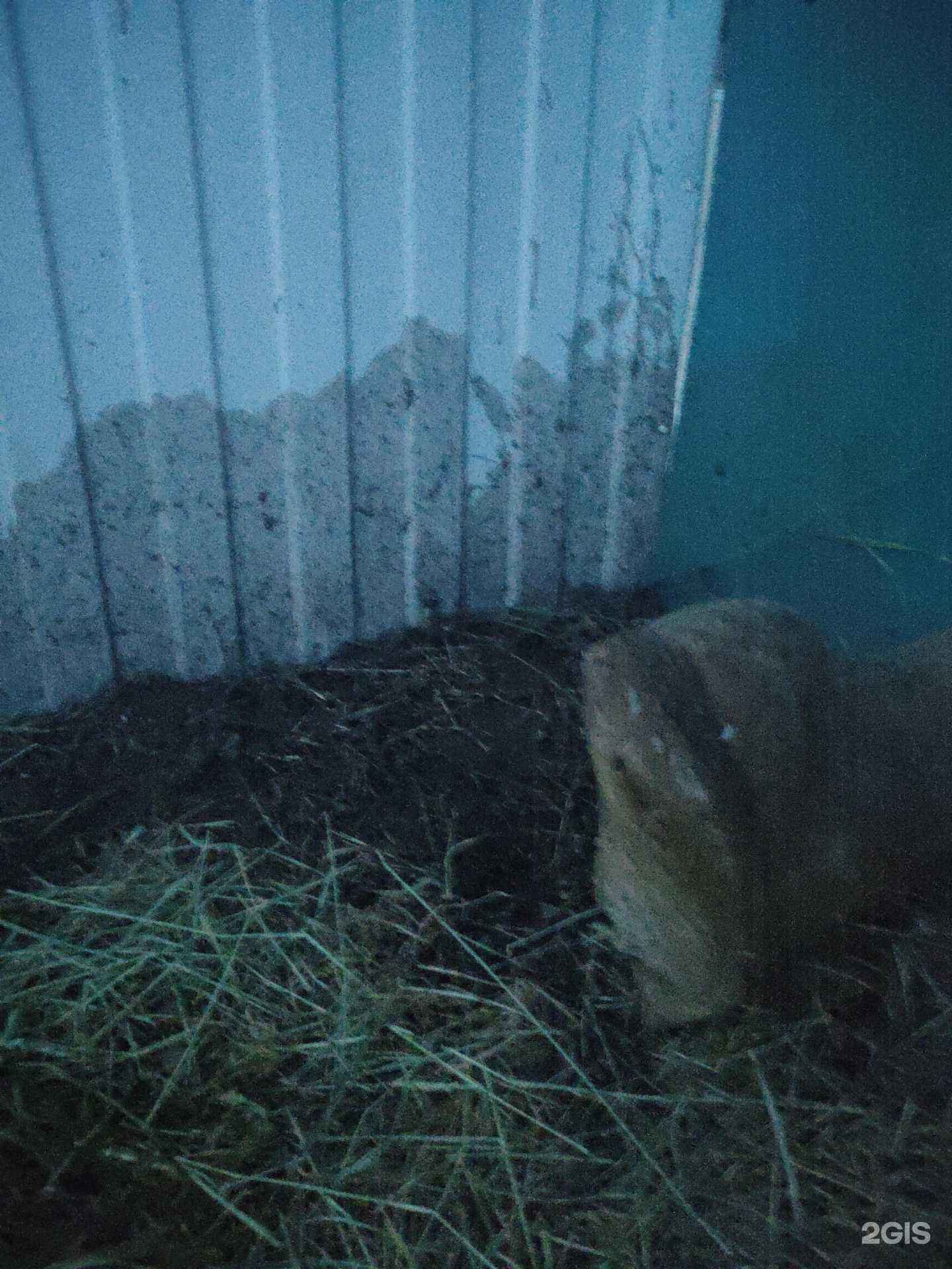 Отзывы на компанию Новые экологические технологии в Якутске c фото