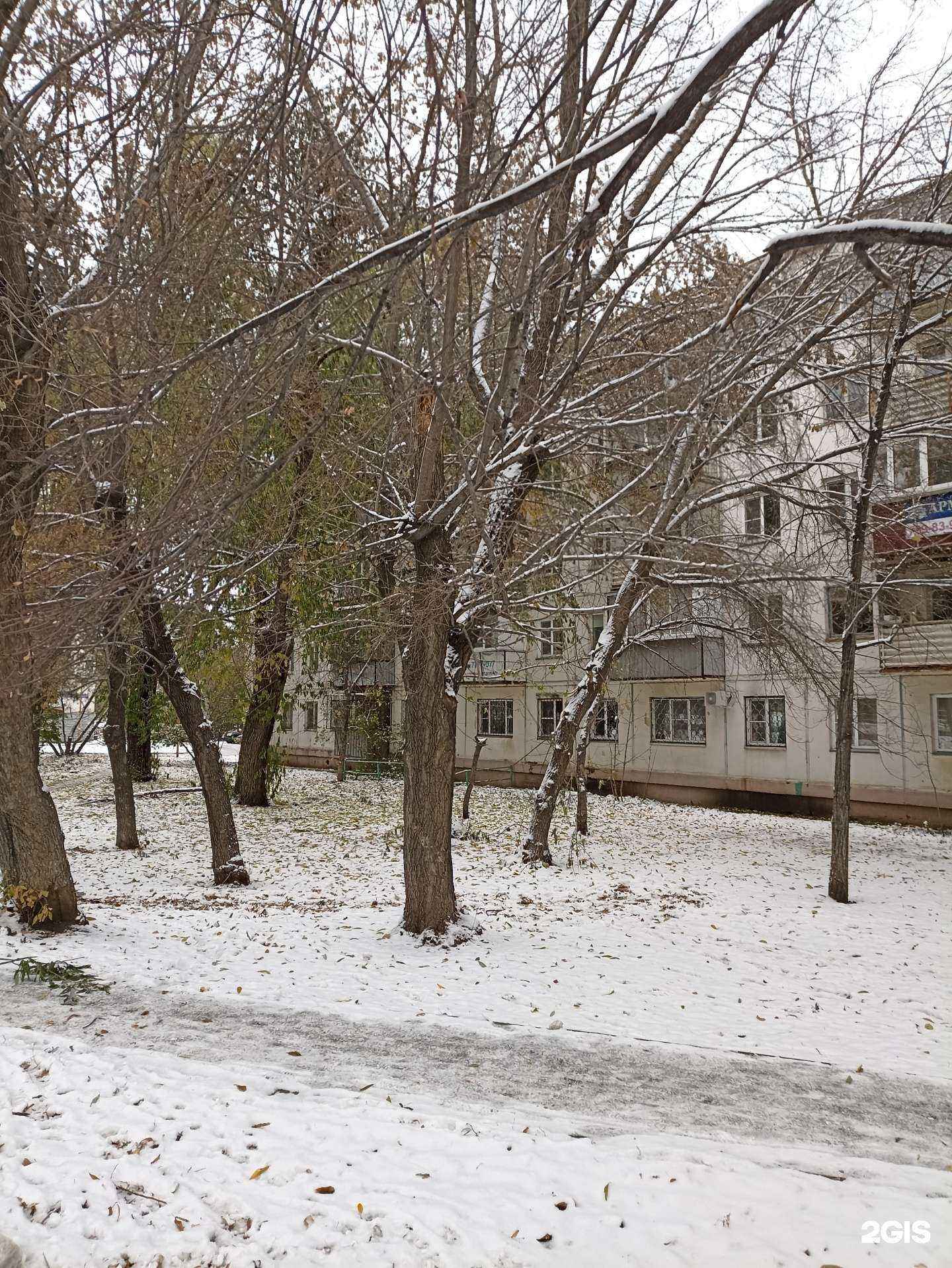 Отзывы на компанию Лапа Надежды в Челябинске c фото - фотография 2 из 2