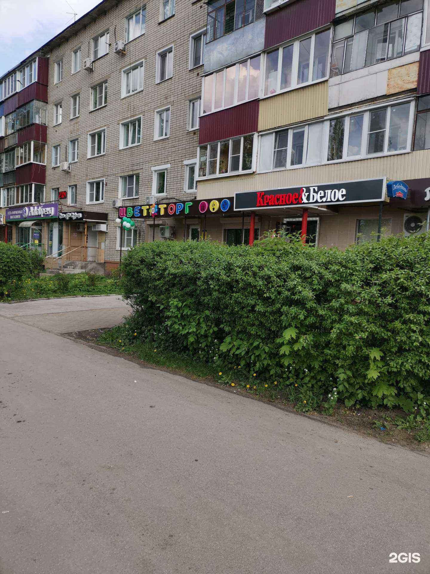 Отзывы на компанию Цветторг 48 в Липецке c фото