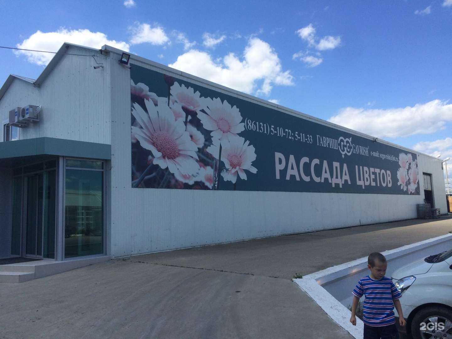 Отзывы на компанию РассадаПроф в Крымске c фото