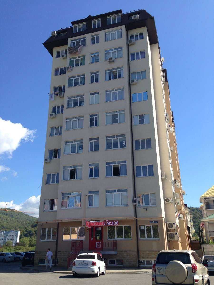 Отзывы на компанию Пункт проката скутеров и мопедов в Сочи c фото - фотография 2 из 2