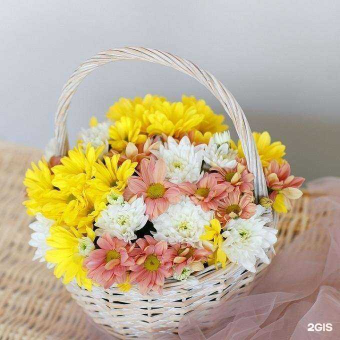 Отзывы на компанию Bukedo в Магнитогорске c фото