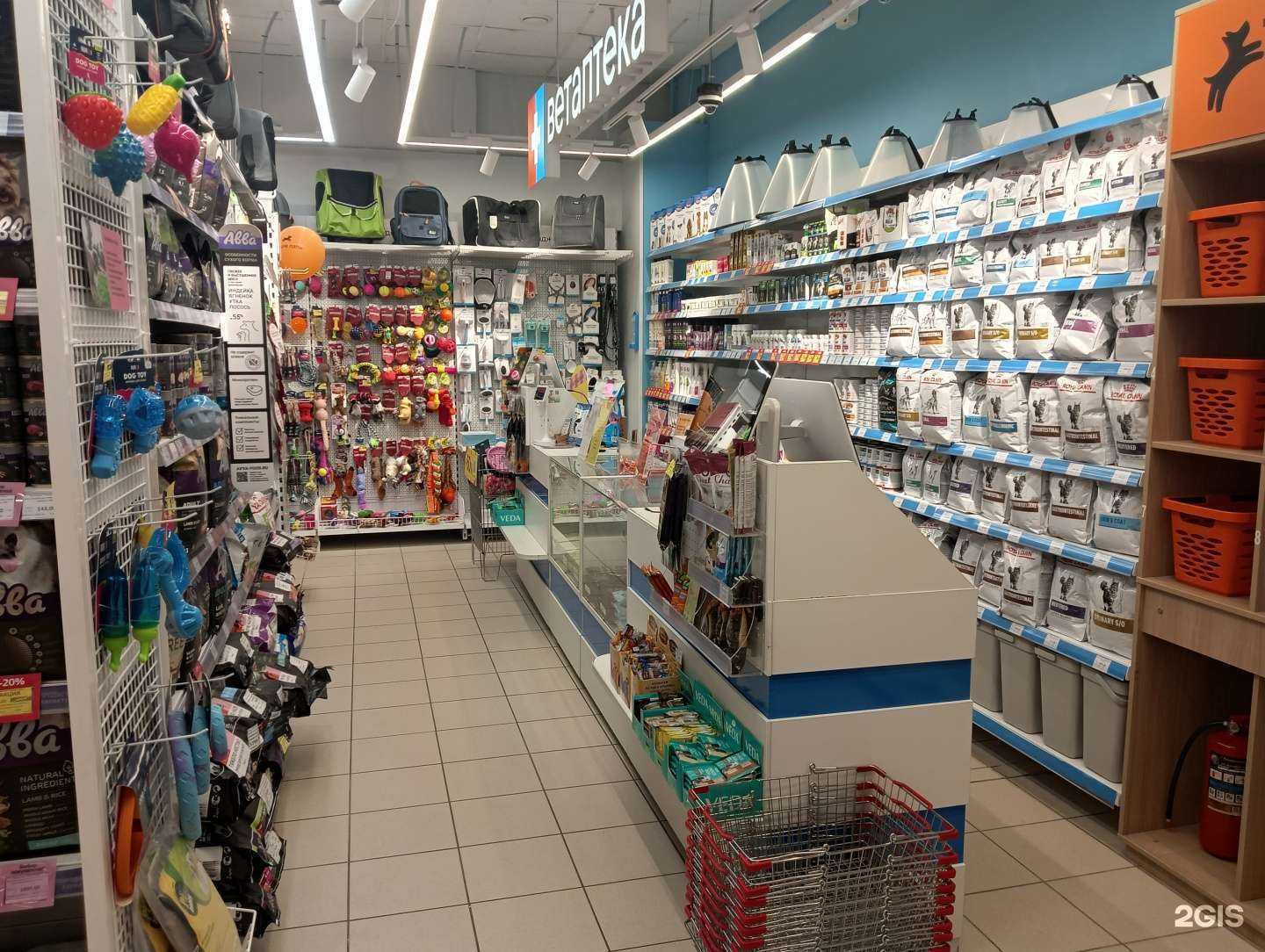 Отзывы на компанию Четыре лапы в Ростове-на-Дону c фото