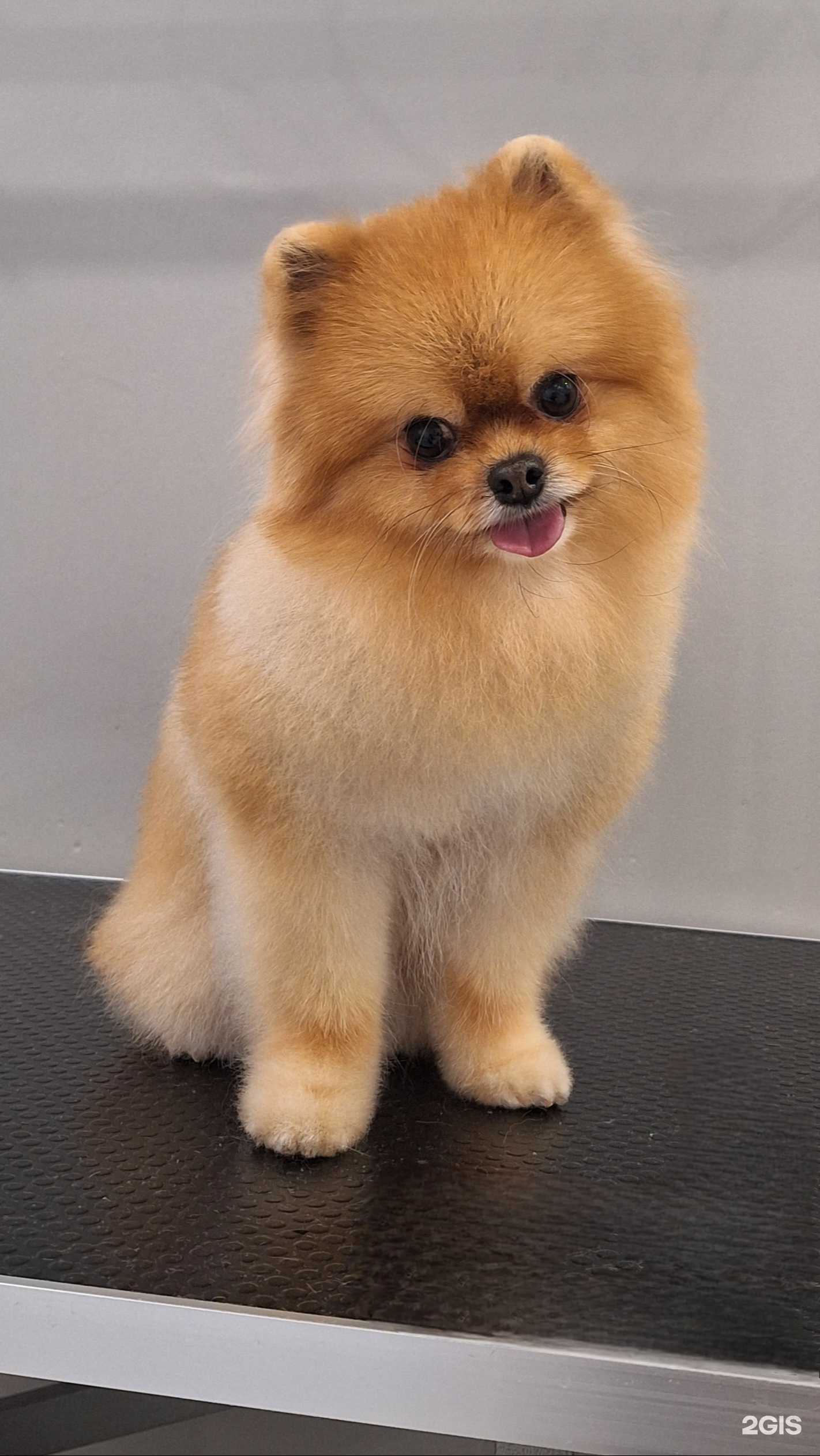 Отзывы на компанию Groom Room в г. Омск c фото