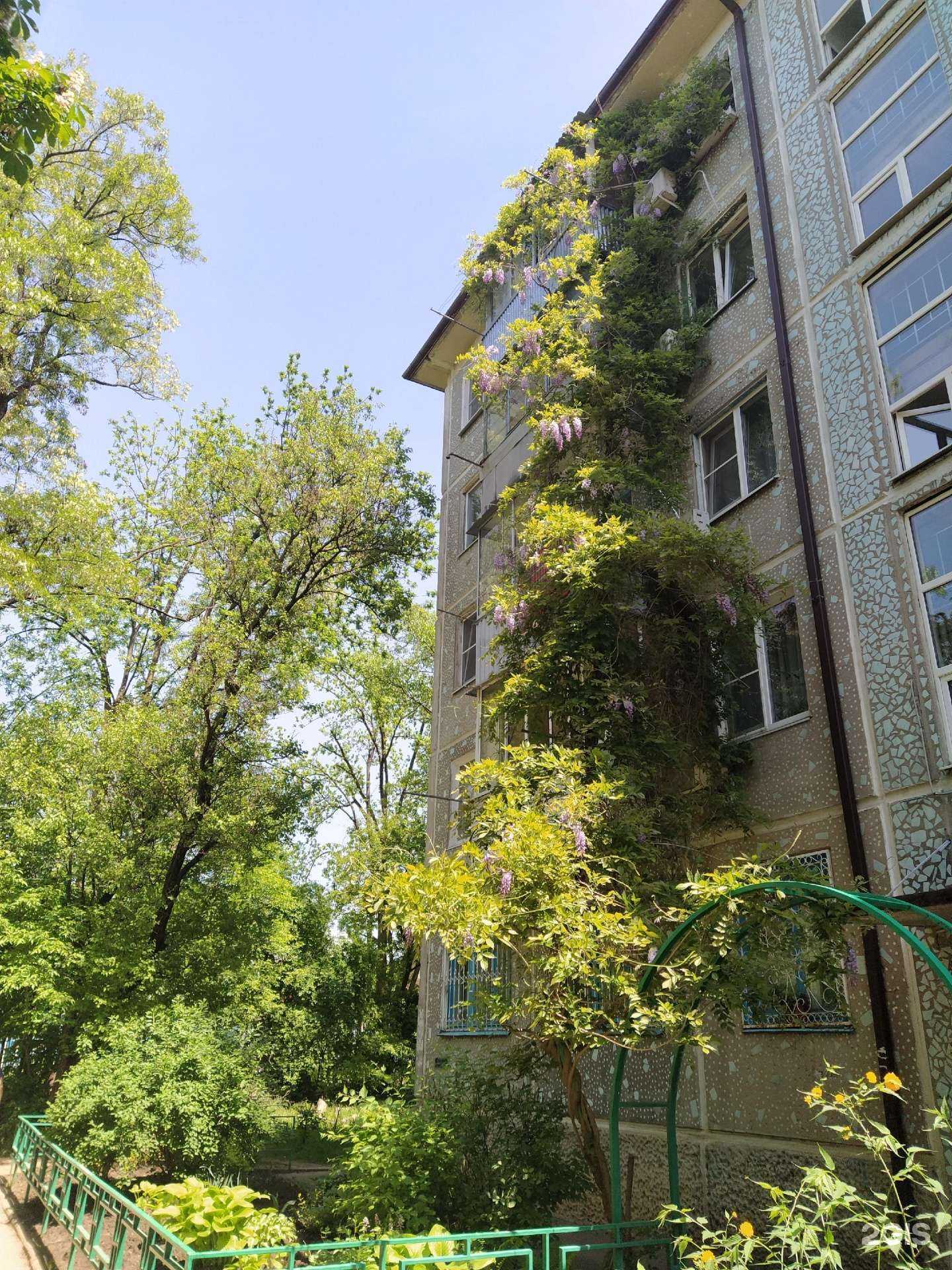 Отзывы на компанию Kl studio Знайкин-Чемпион в Краснодаре c фото - фотография 2 из 2