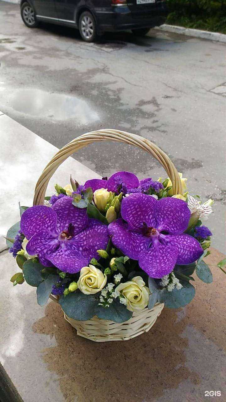 Отзывы на компанию Цветочная полянка в г. Новосибирск c фото