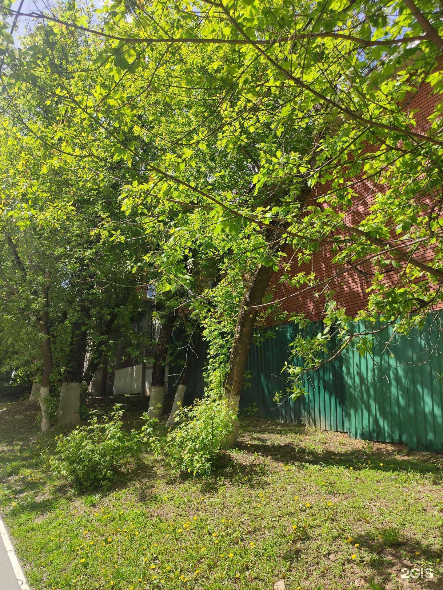 Отзывы на компанию Гринмедиа в Подольске c фото - фотография 2 из 2