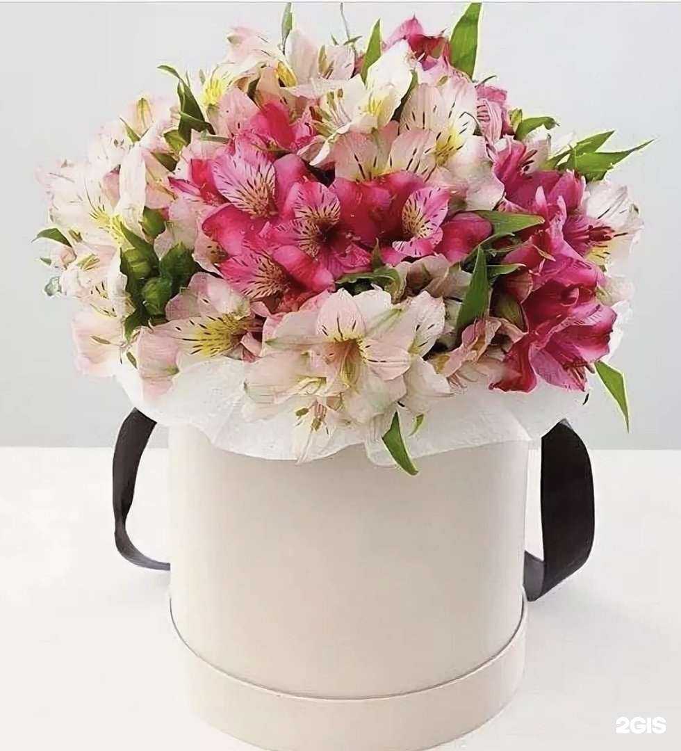 Отзывы на компанию Орхидея в г. Иркутск c фото