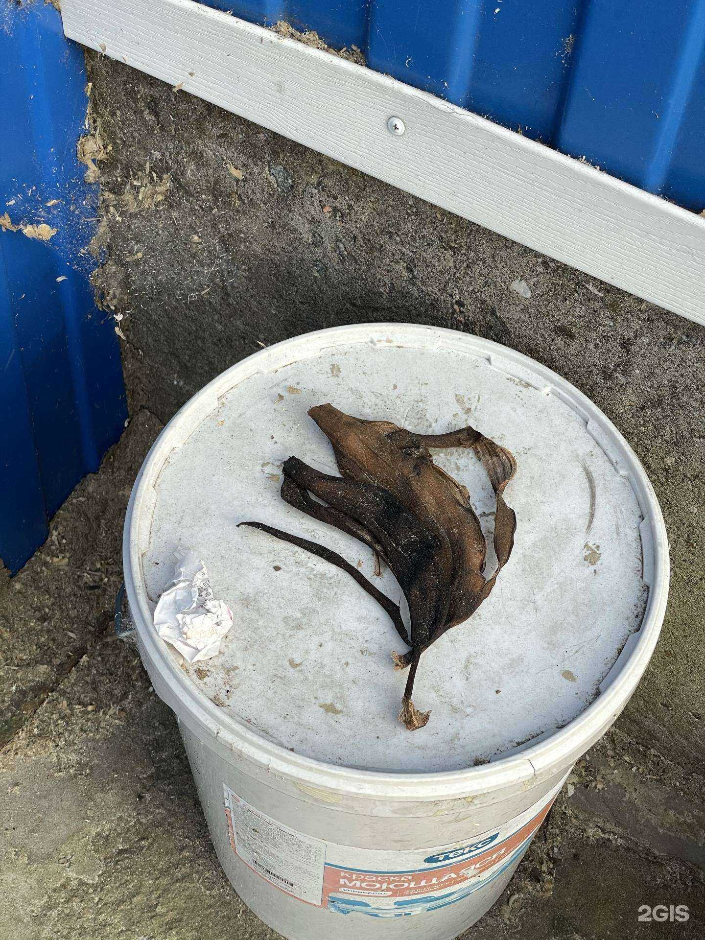 Отзывы на компанию Лесстрой в г. Архангельск c фото