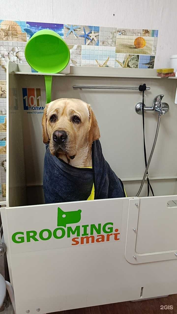 Отзывы на компанию Баронесса и Барон в Челябинске c фото