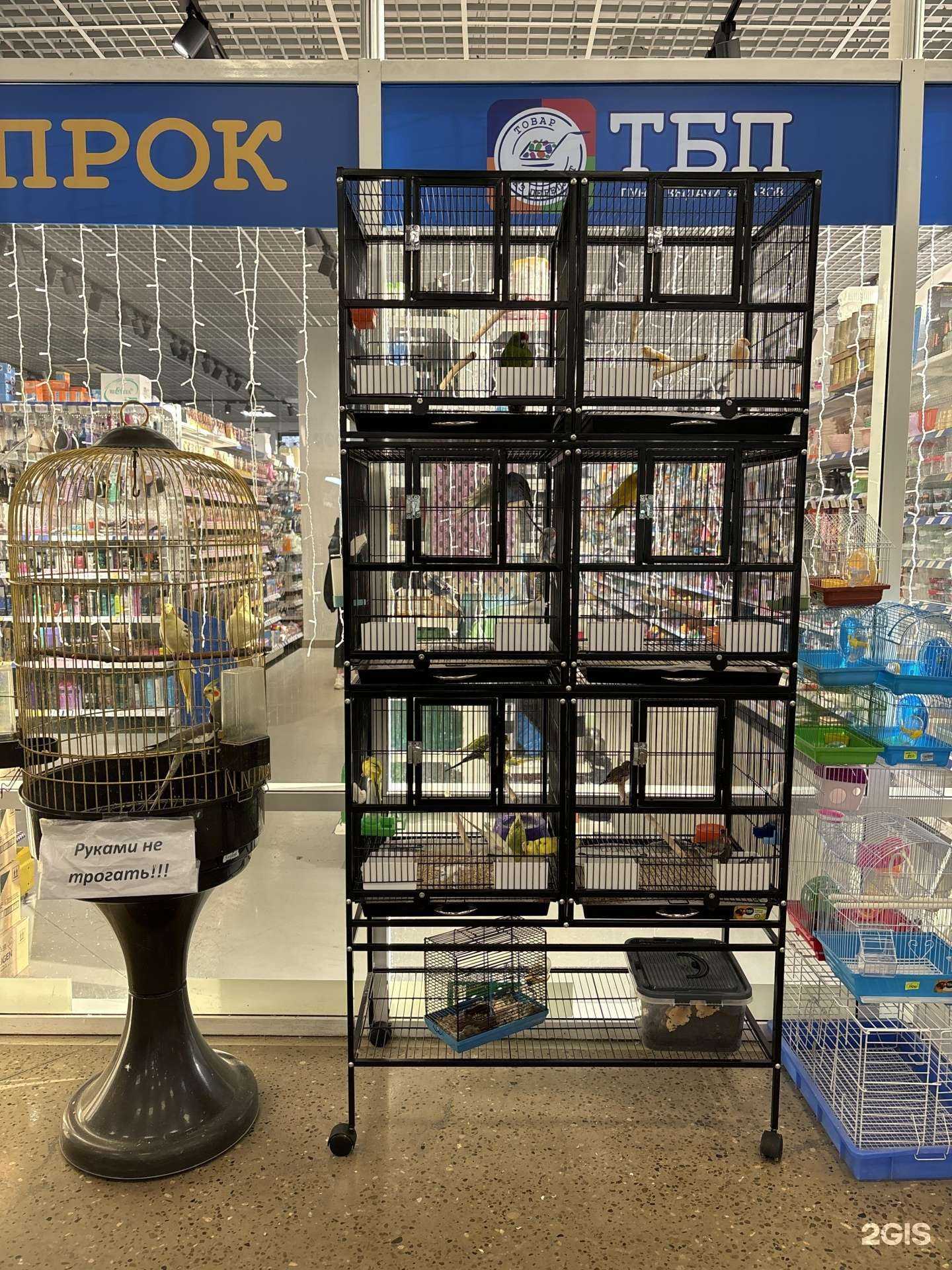 Отзывы на компанию Совушка в г. Альметьевск c фото