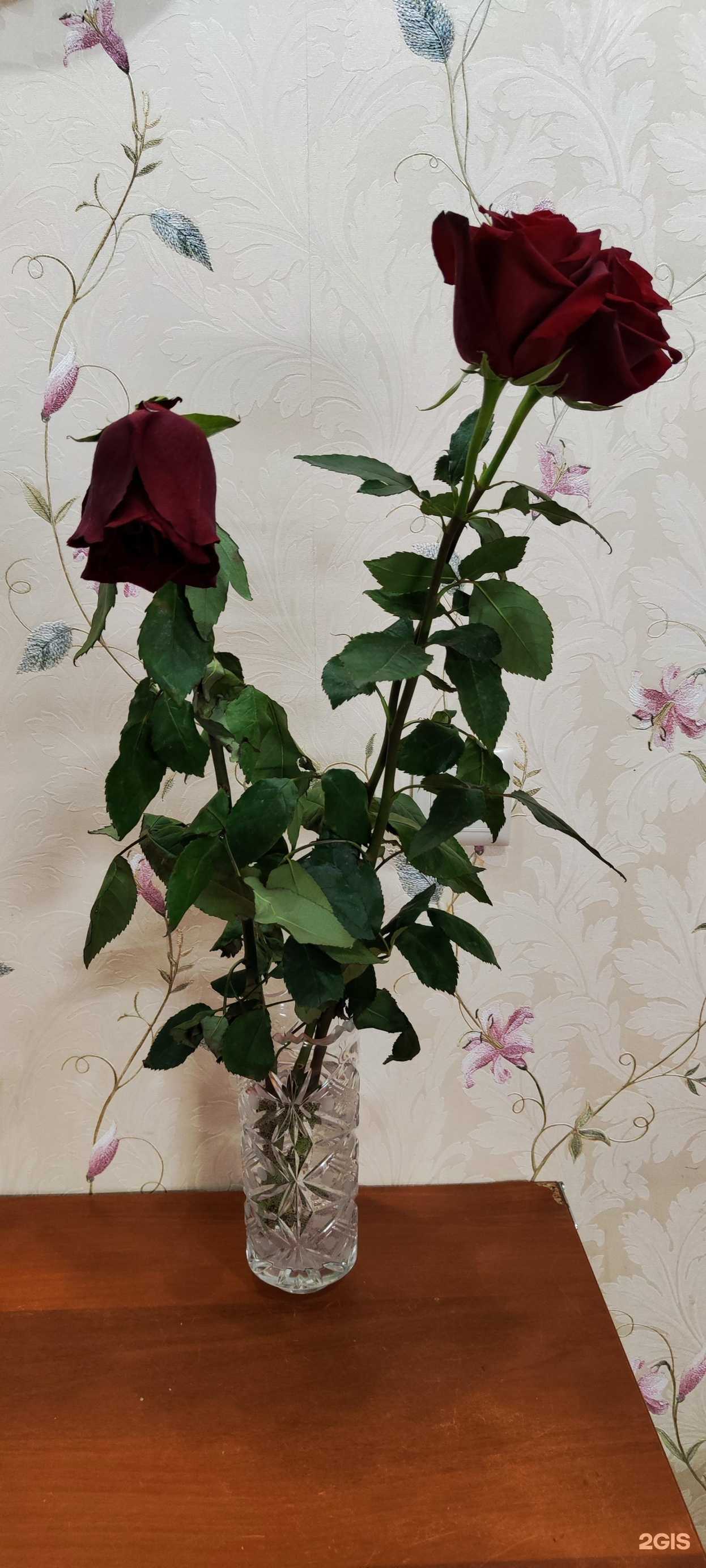 Отзывы на компанию Бульвар цветов в г. Петропавловск-Камчатский c фото