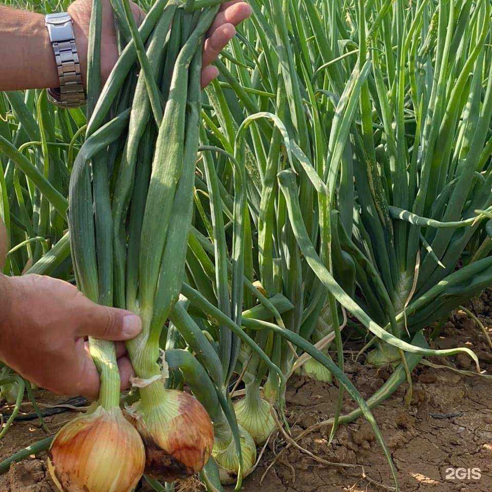 Отзывы на компанию Интэко в Волжском c фото