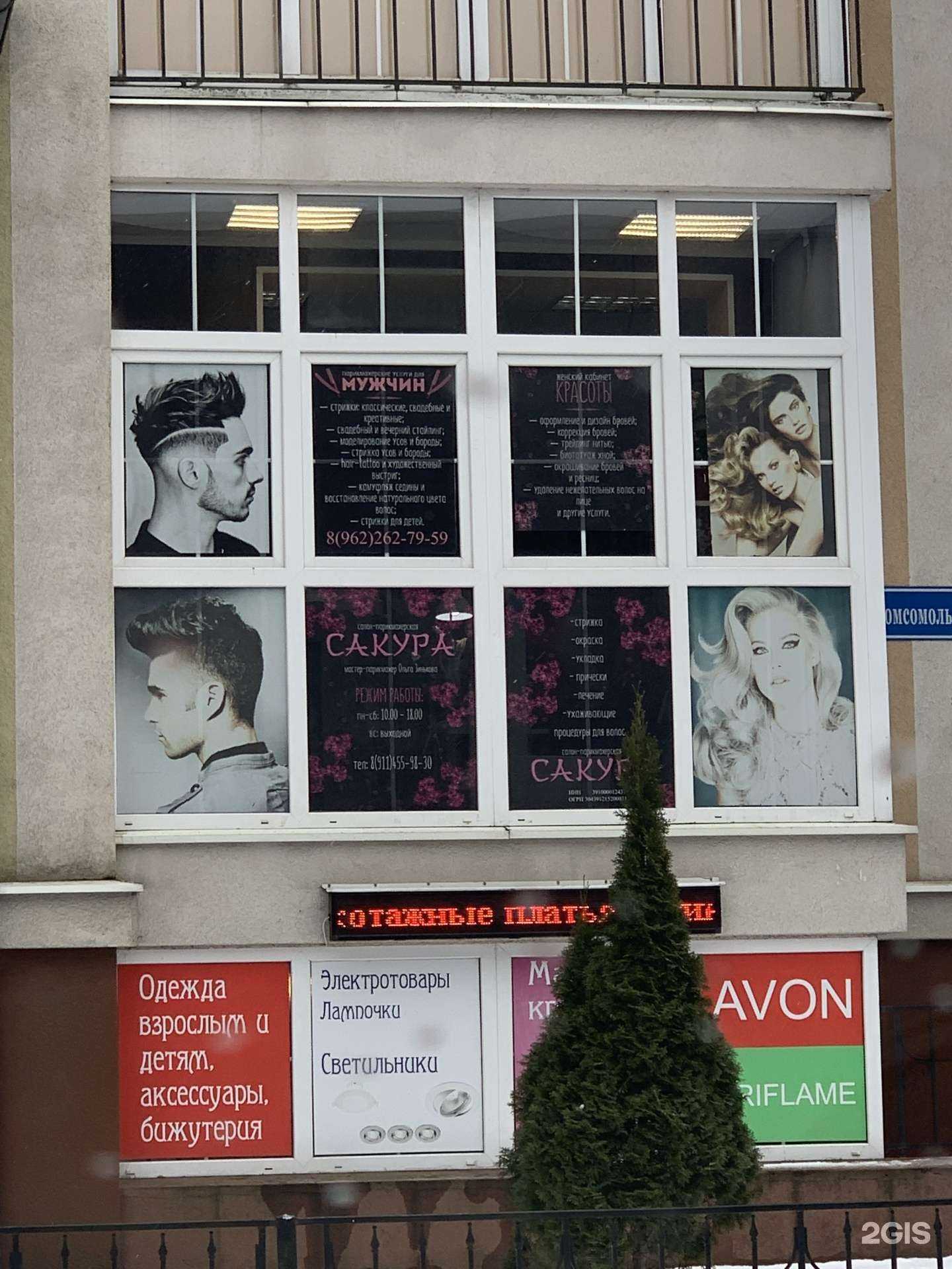 Отзывы на компанию Сакура в Калининграде c фото