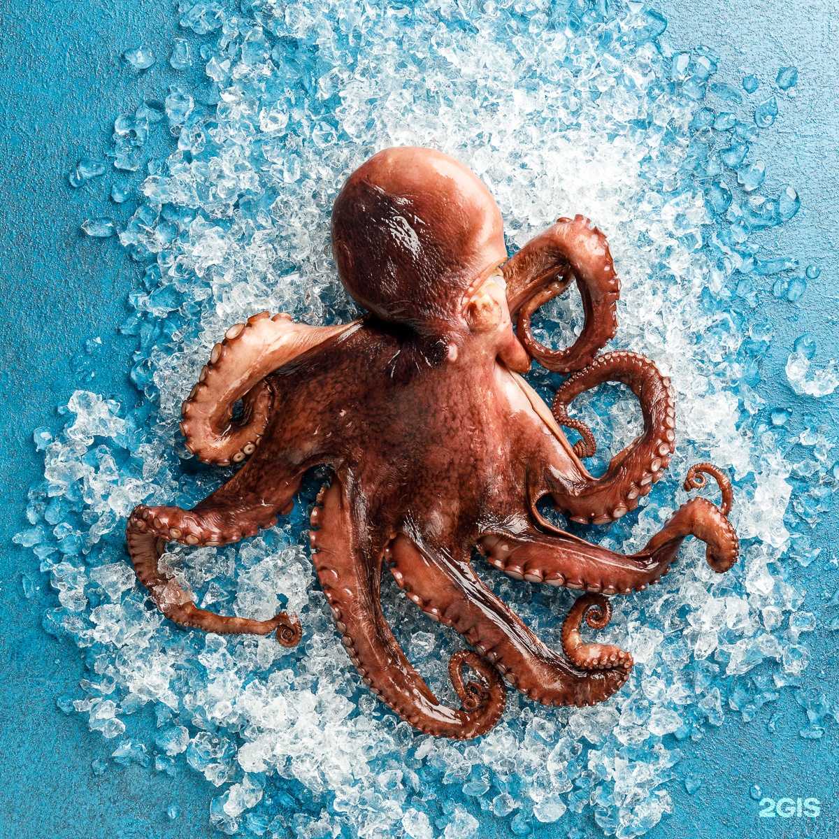 Отзывы на компанию Живая рыба в Екатеринбурге c фото