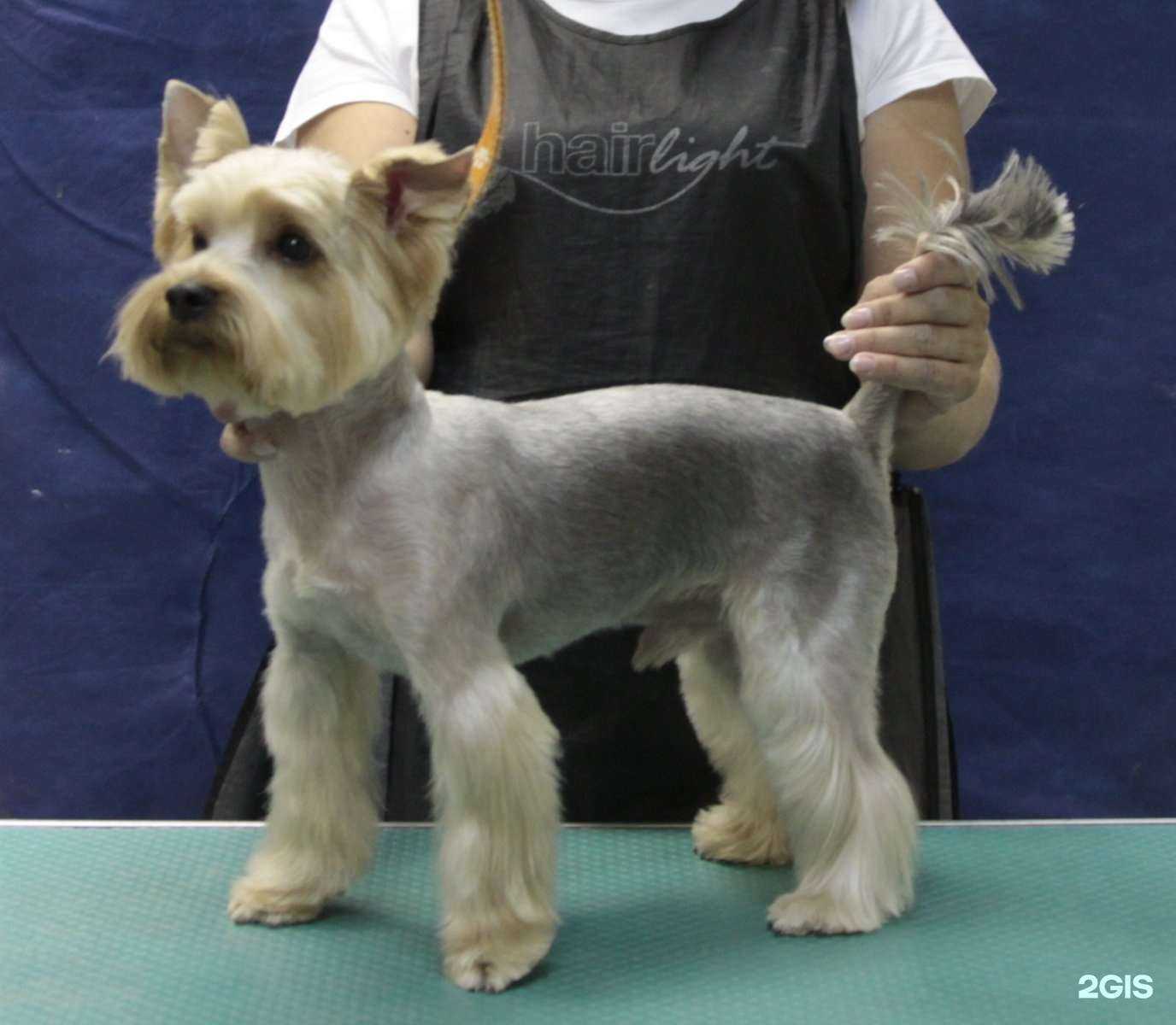 Отзывы на компанию О`Соба в Иркутске c фото