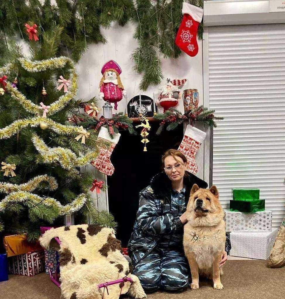 Отзывы на компанию Зооцентр 86 в Сургуте c фото