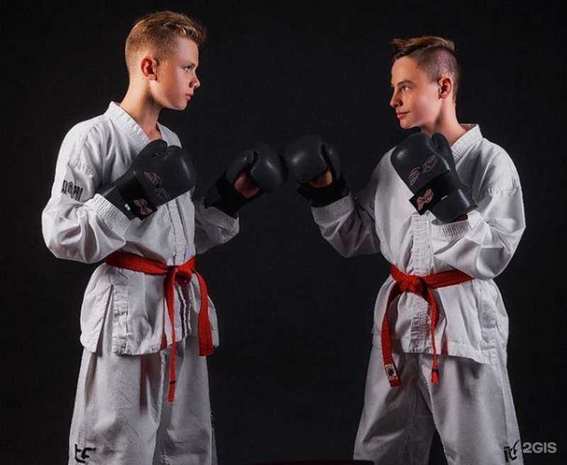 Отзывы на компанию Black Tigers в Волгограде c фото