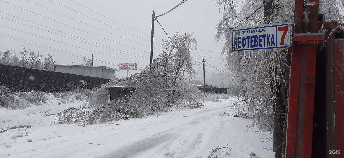 Отзывы на компанию Новый вид в Владивостоке c фото - фотография 2 из 2