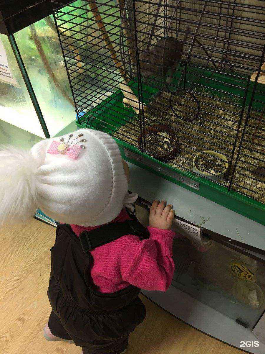 Отзывы на компанию Аквамарин Sunflower в г. Белгород c фото