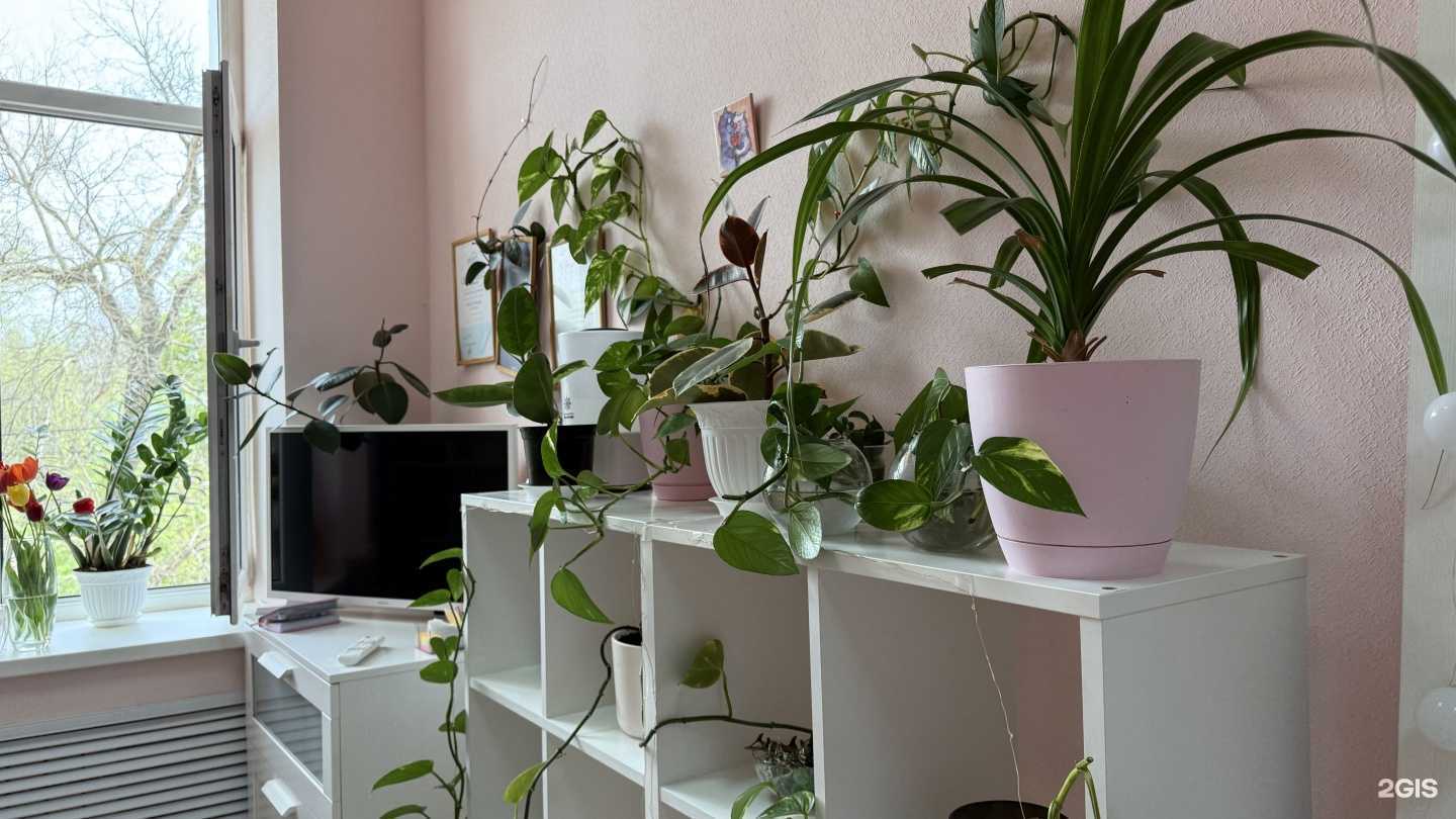 Отзывы на компанию Ok Nails Tgn в Таганроге c фото