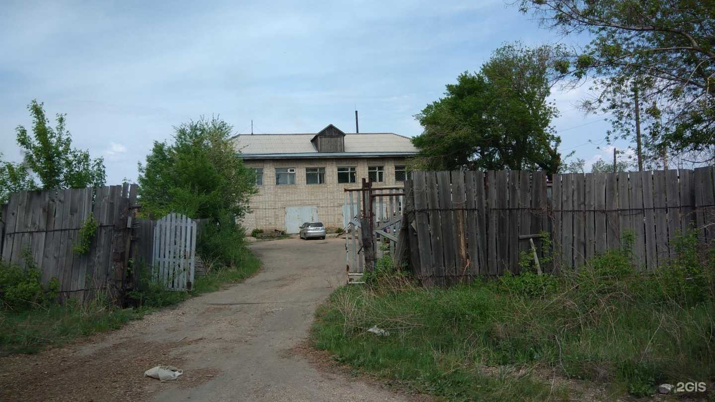 Отзывы на компанию Докис в г. Рубцовск c фото