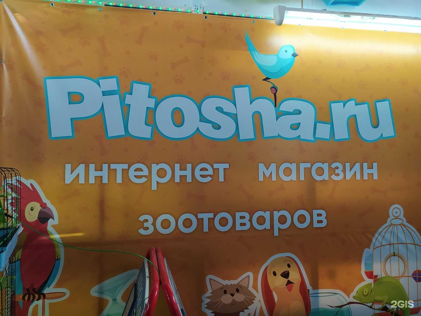 Отзывы на компанию Pitosha.ru в Омске c фото