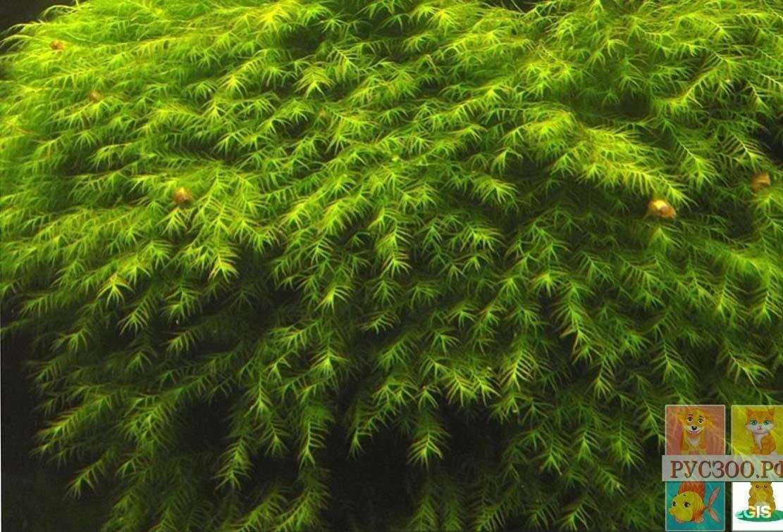 Отзывы на компанию Zoo сити в г. Краснодар c фото