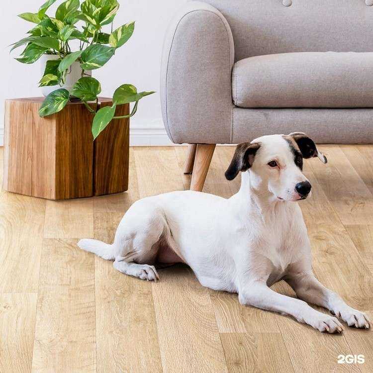 Отзывы на компанию Мегаполис в г. Ангарск c фото