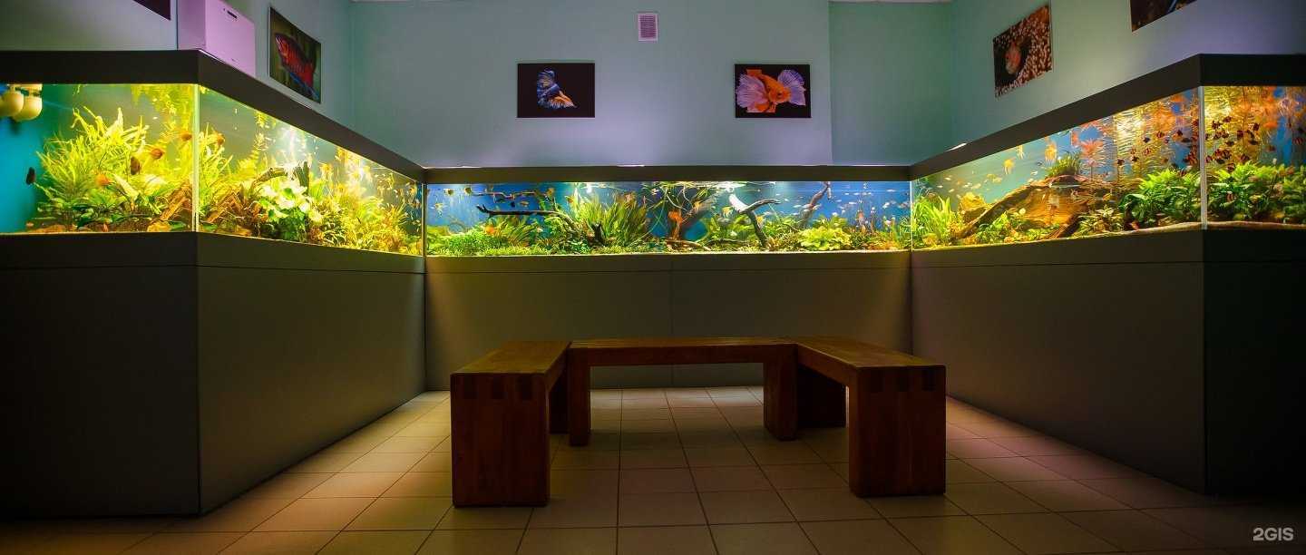 Отзывы на компанию Акванариум в Рязани c фото