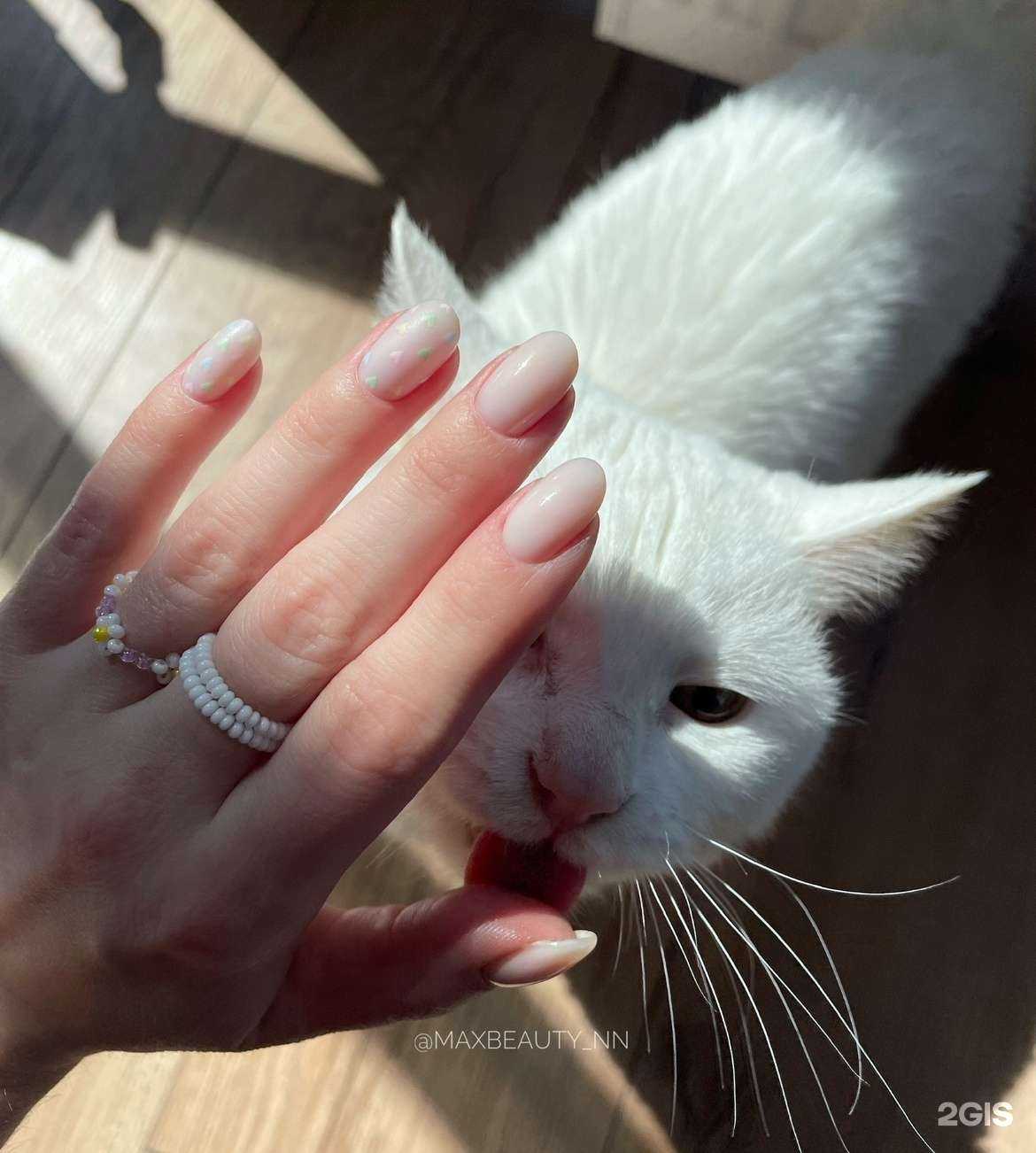 Отзывы на компанию Maxbeauty_nn в Нижнем Новгороде c фото