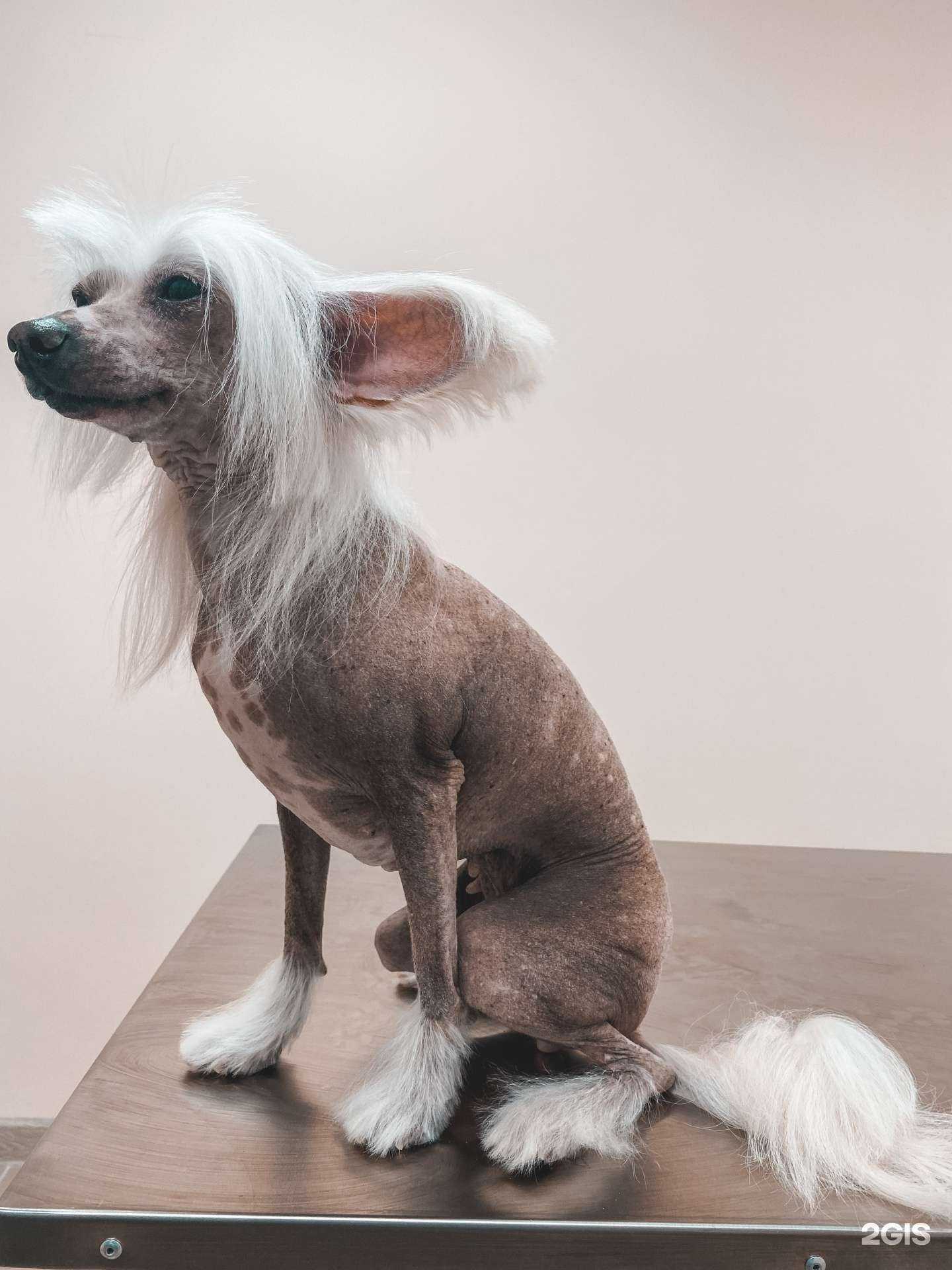 Отзывы на компанию Юмма в Тюмени c фото