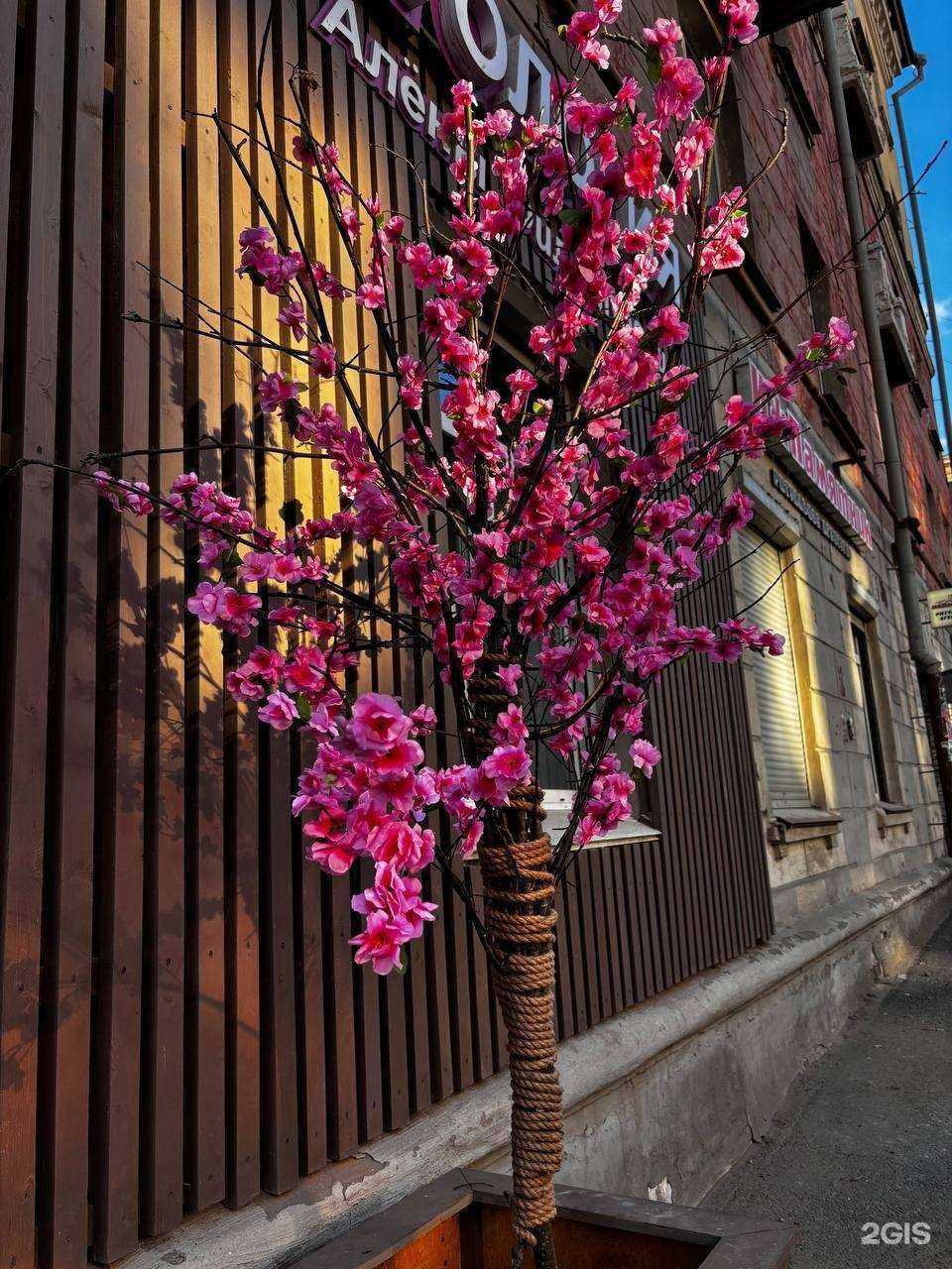 Отзывы на компанию Клиника косметологии Алёны Филипповой в Ижевске c фото