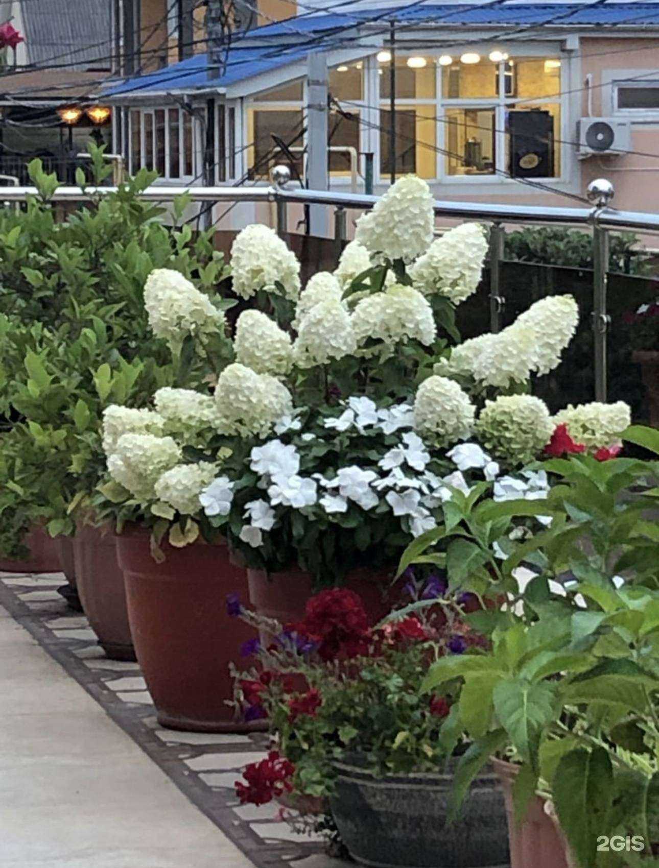 Отзывы на компанию Флоренция  в г. Сочи c фото