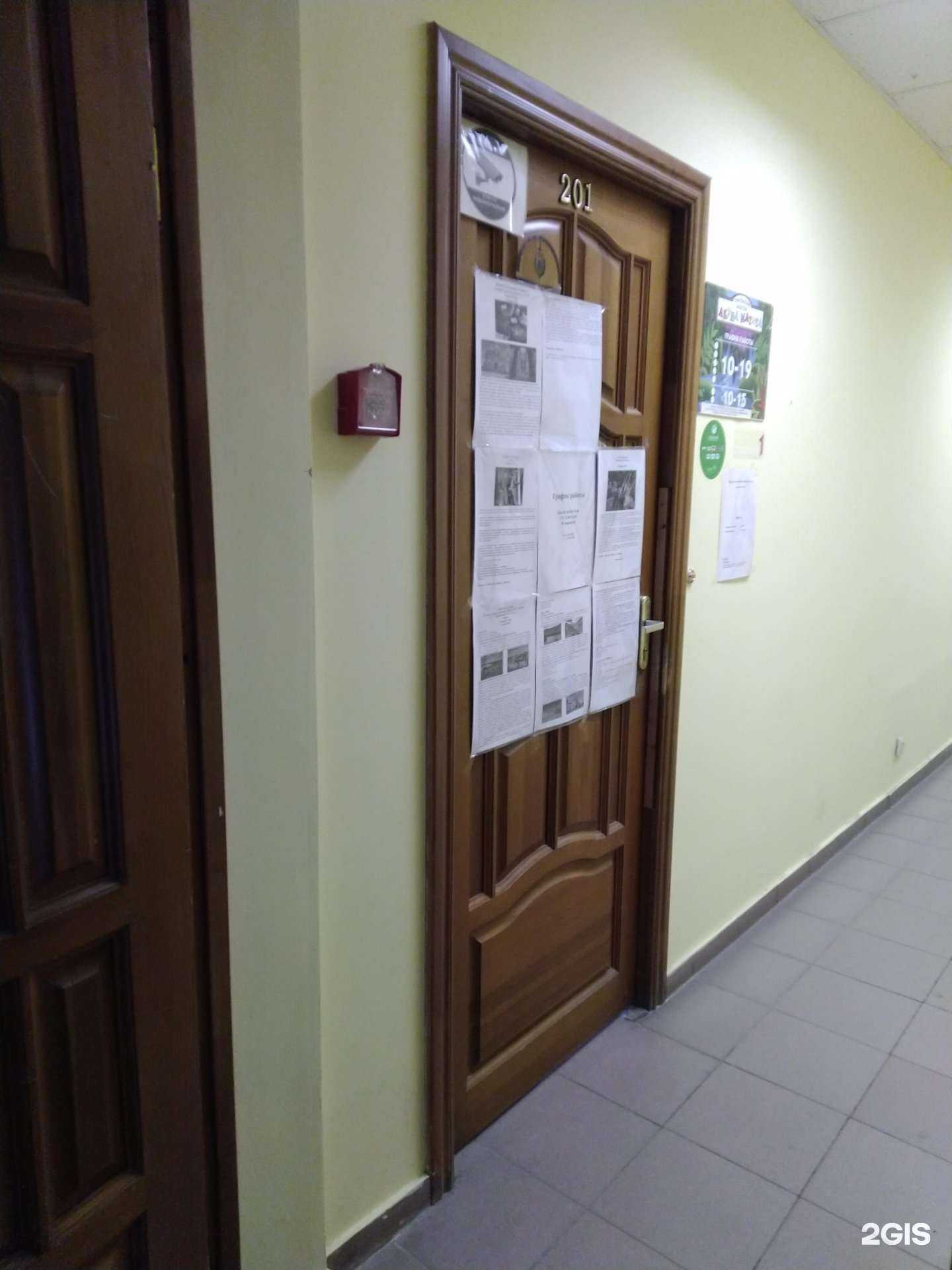 Отзывы на компанию Акуна матата в г. Тула c фото