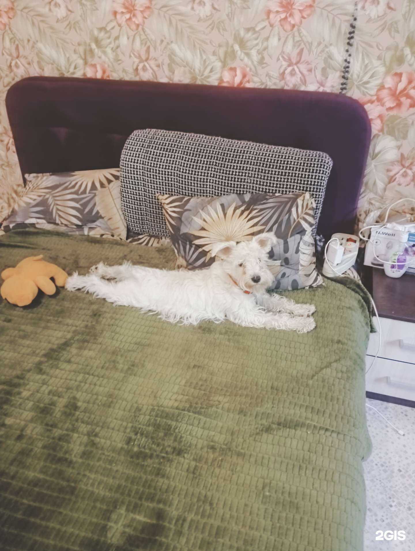 Отзывы на компанию Семейный в Хабаровске c фото