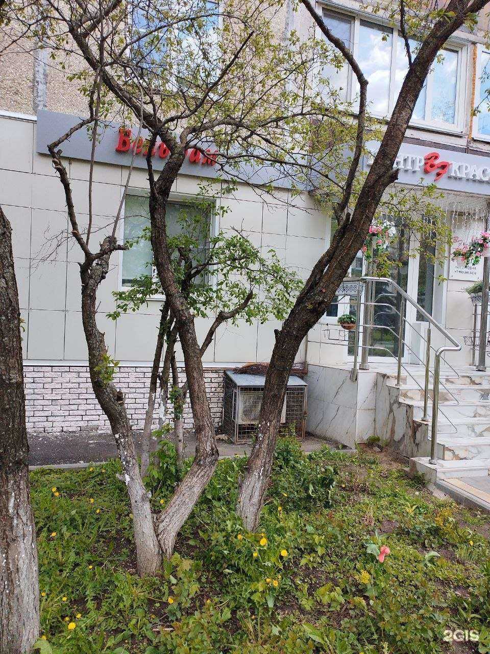 Отзывы на компанию Бельфам в Нижнем Новгороде c фото