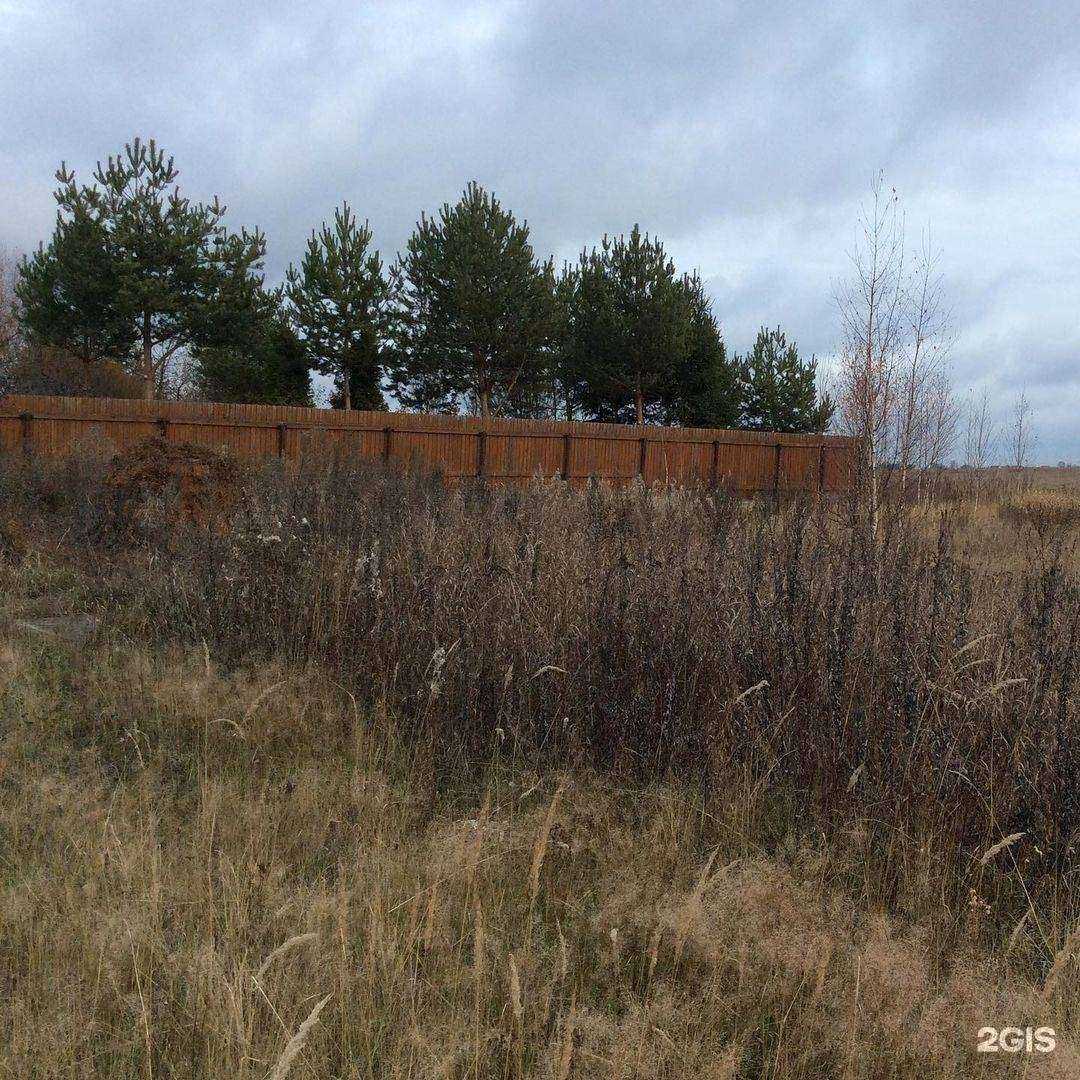 Отзывы на компанию Грин парк в Звенигороде c фото