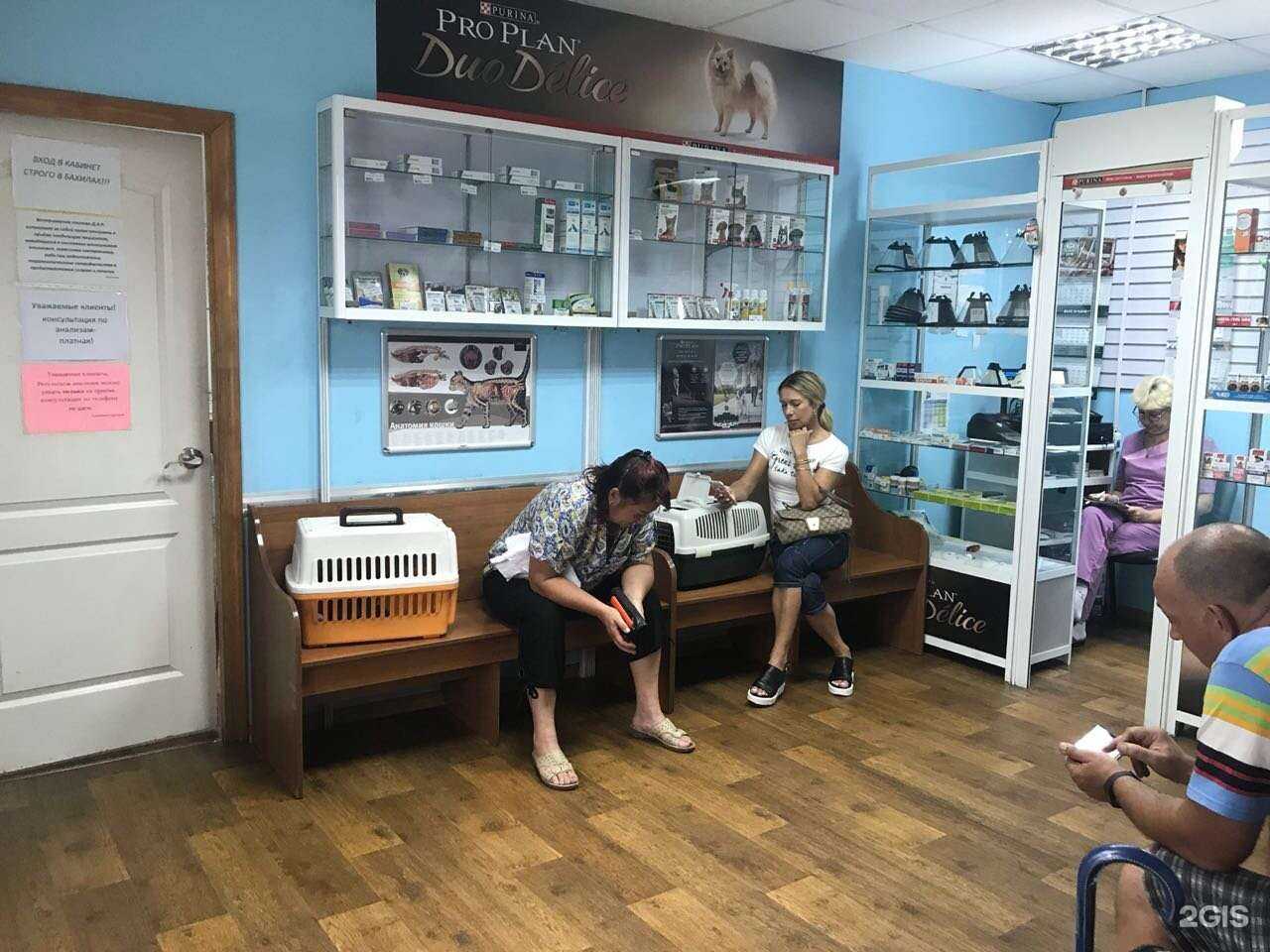 Отзывы на компанию Д.А.Р. в Владивостоке c фото