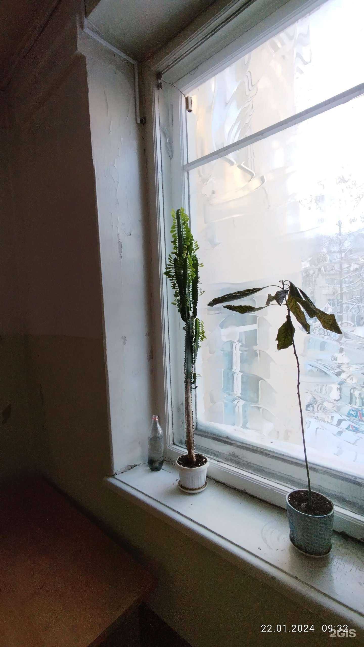 Отзывы на компанию На Гагарина 2 в Йошкар-Оле c фото - фотография 2 из 2