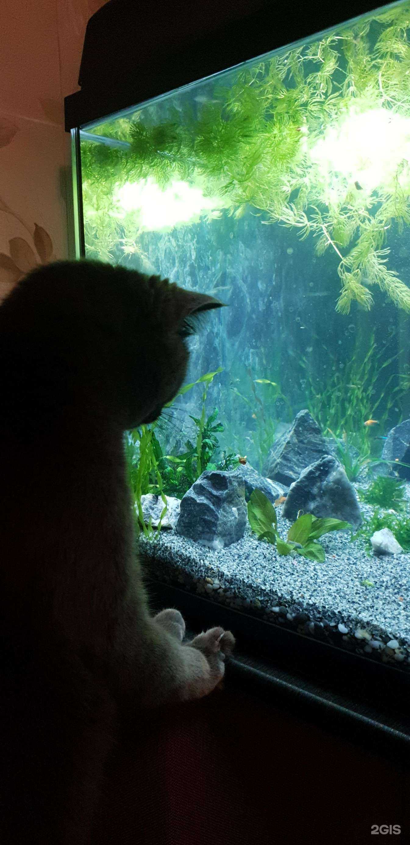 Отзывы на компанию ВитаВет в Ижевске c фото