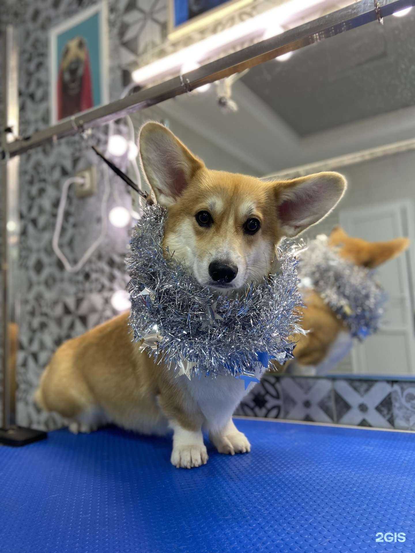 Отзывы на компанию Fuzzy в Анапе c фото