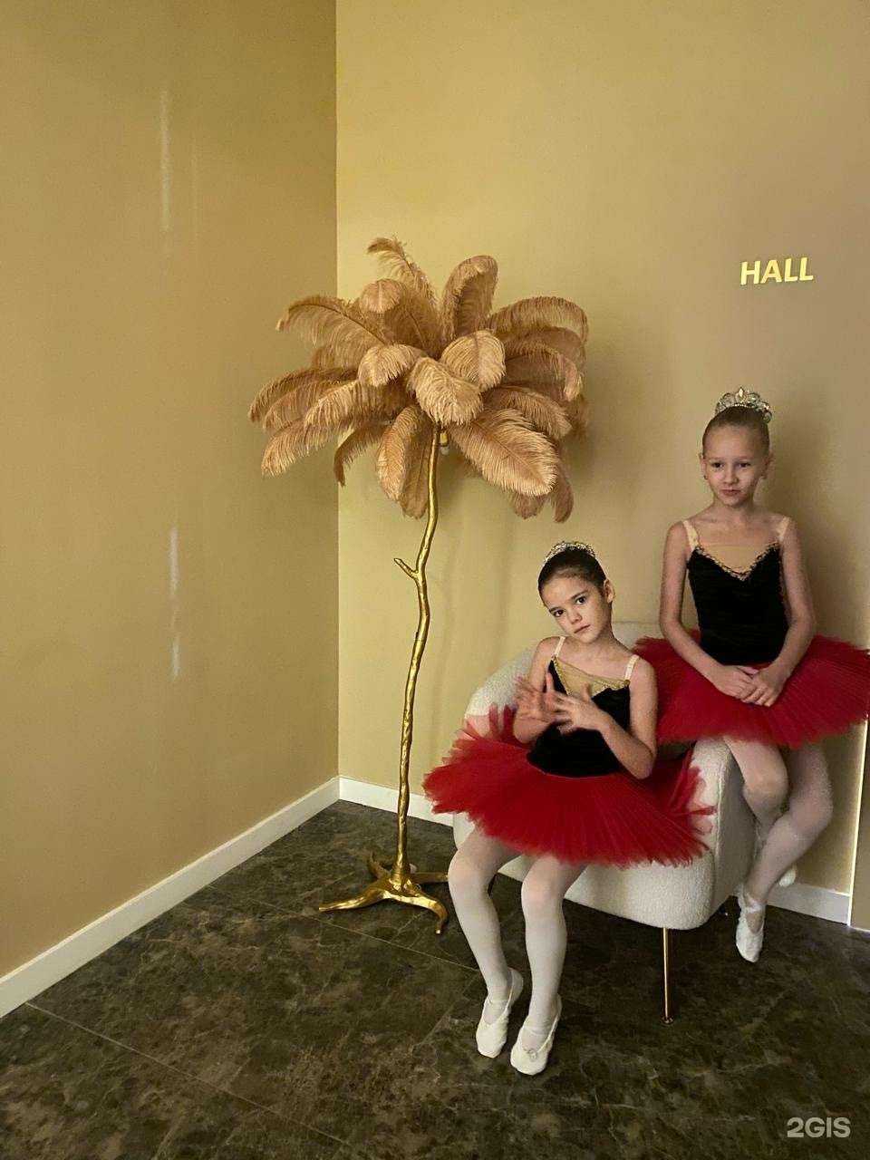 Отзывы на компанию Little Swan в г. Красноярск c фото