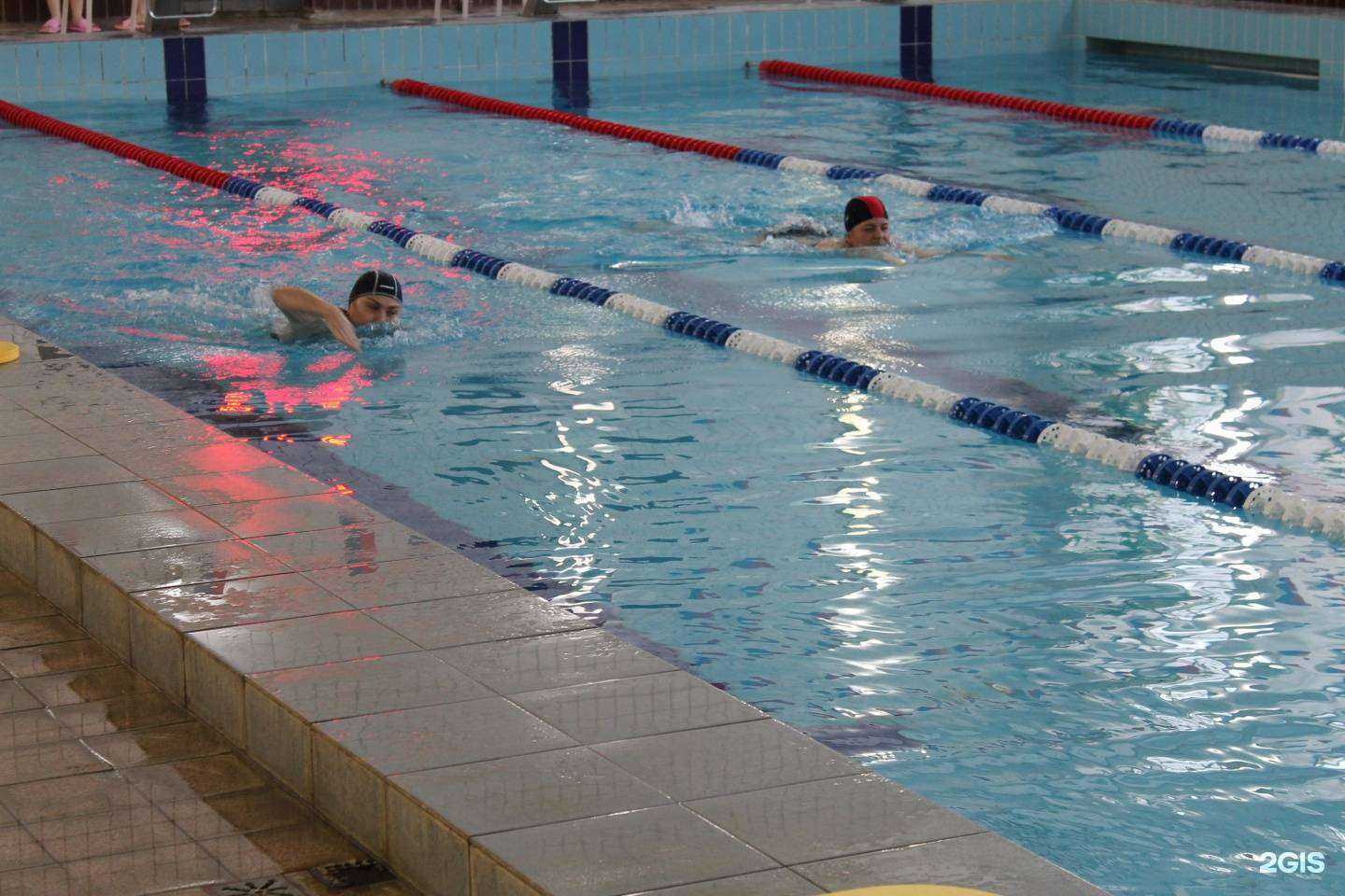 Отзывы на компанию Детский оздоровительно-образовательный центр Бригантина в г. Новосибирск c фото