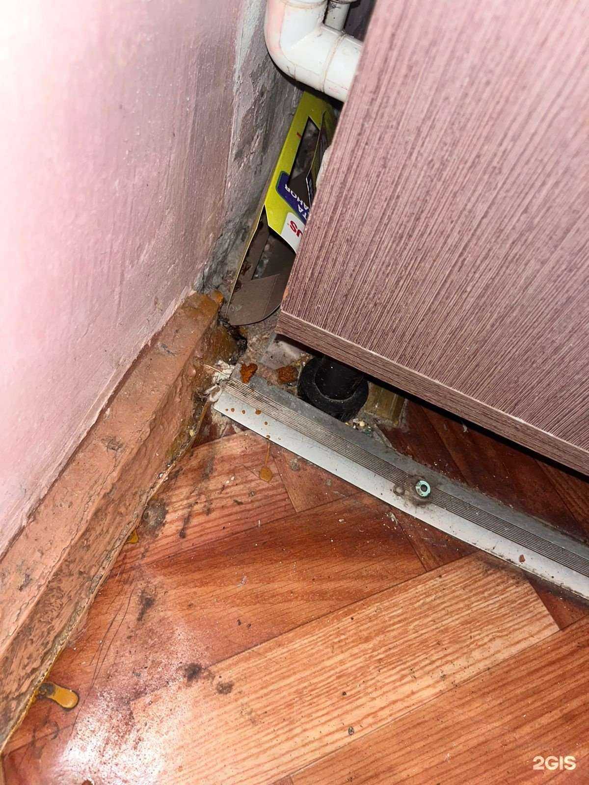 Отзывы на компанию Средняя школа №134 в Новосибирске c фото