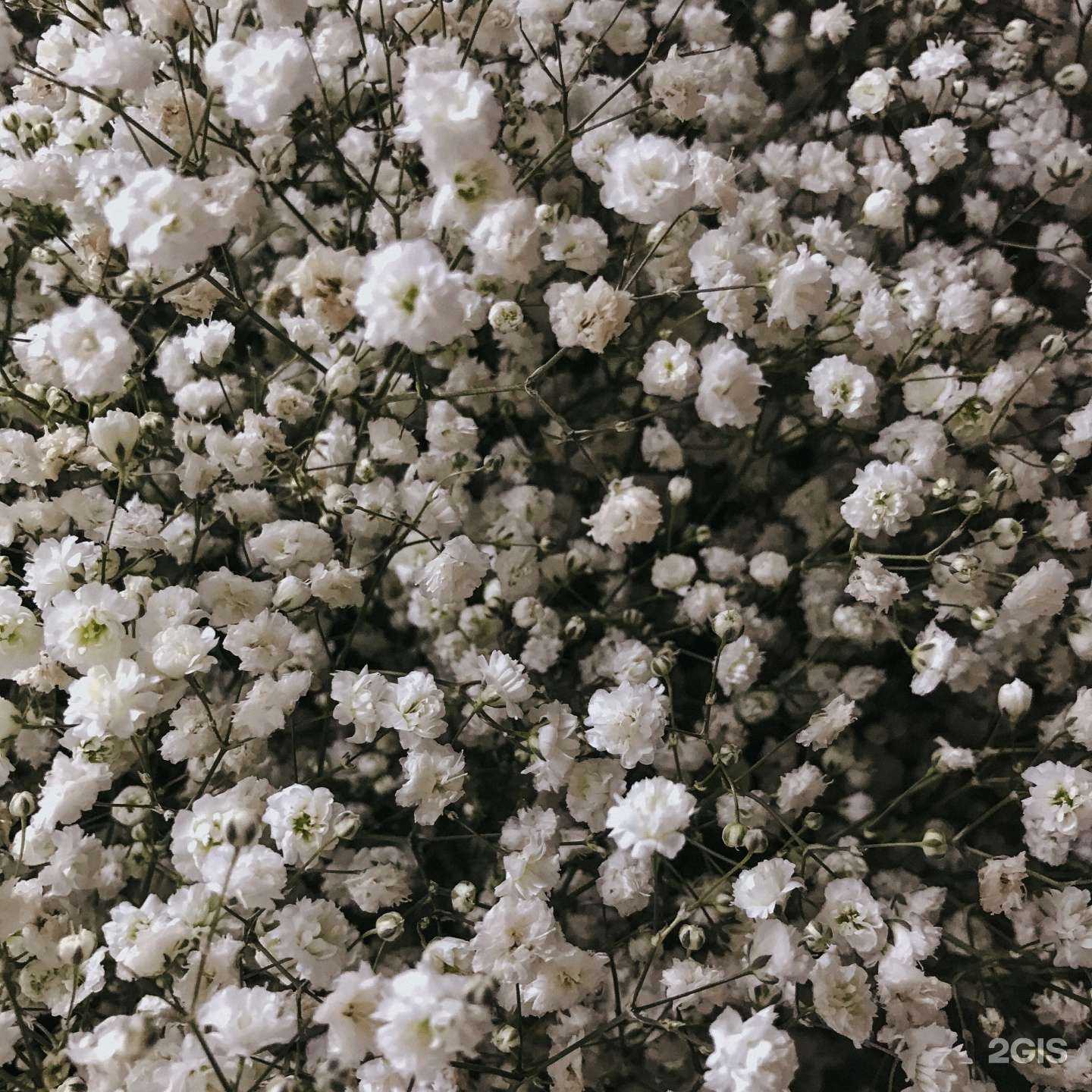 Отзывы на компанию Процветай в Екатеринбурге c фото