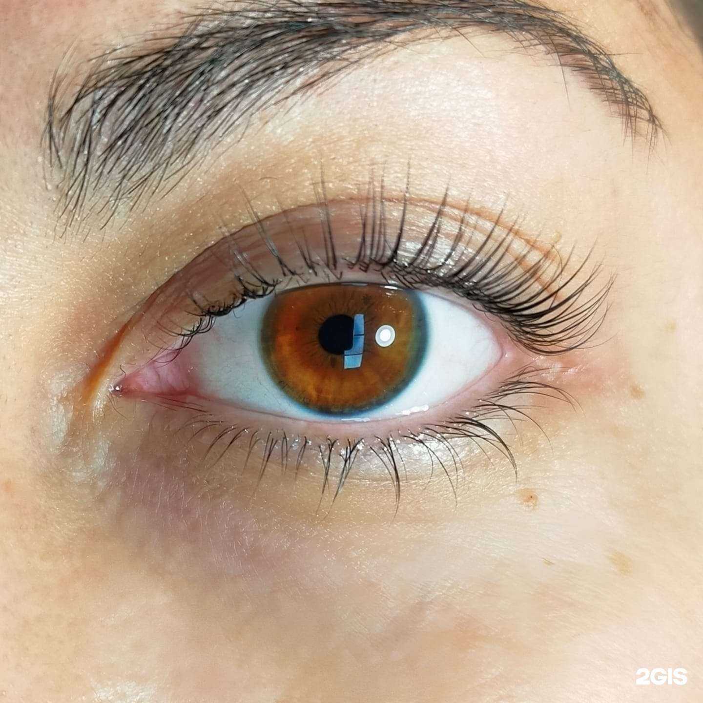 Отзывы на компанию Покахонтас в г. Хабаровск c фото