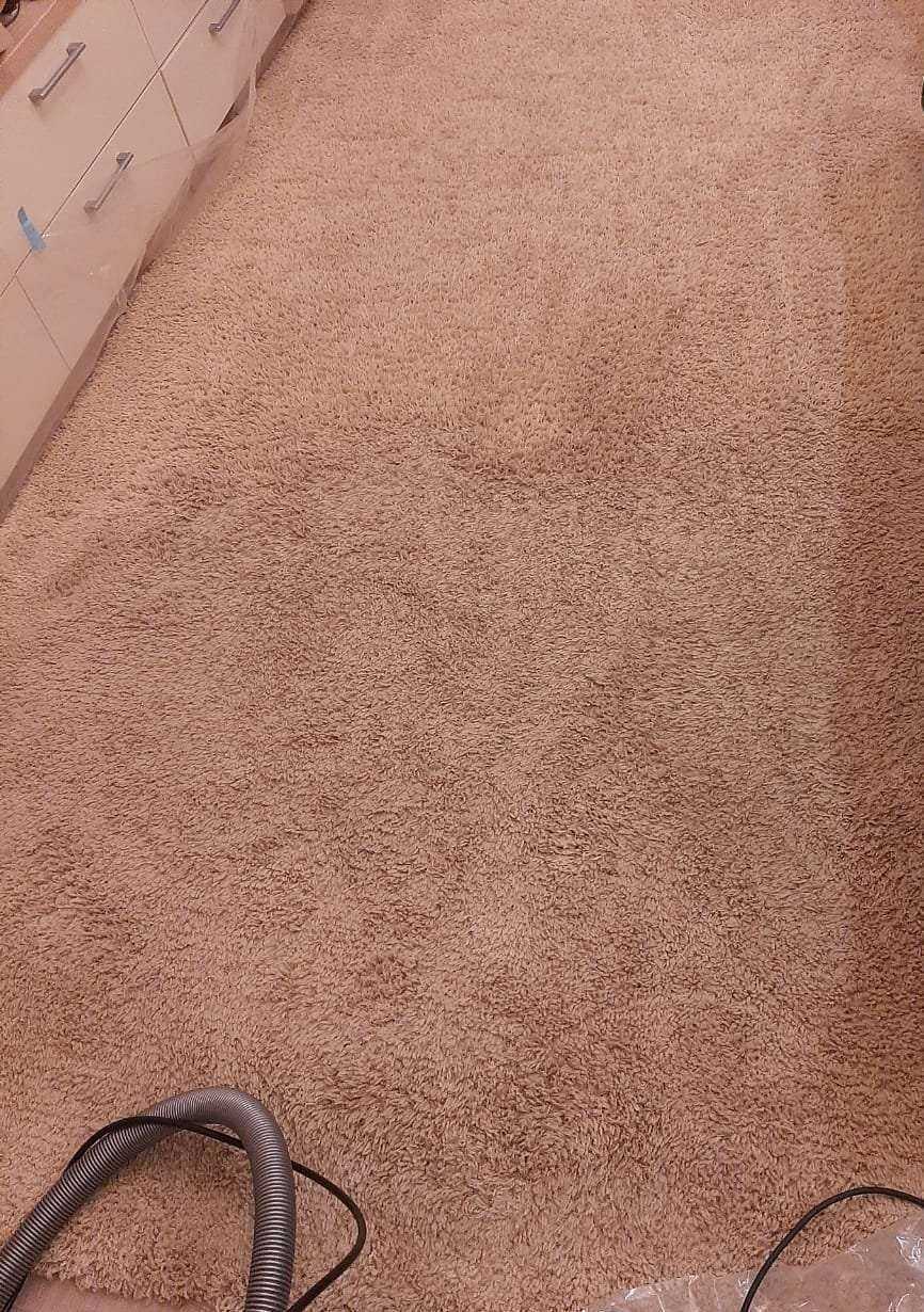 Отзывы на компанию Чистюля в Новосибирске c фото