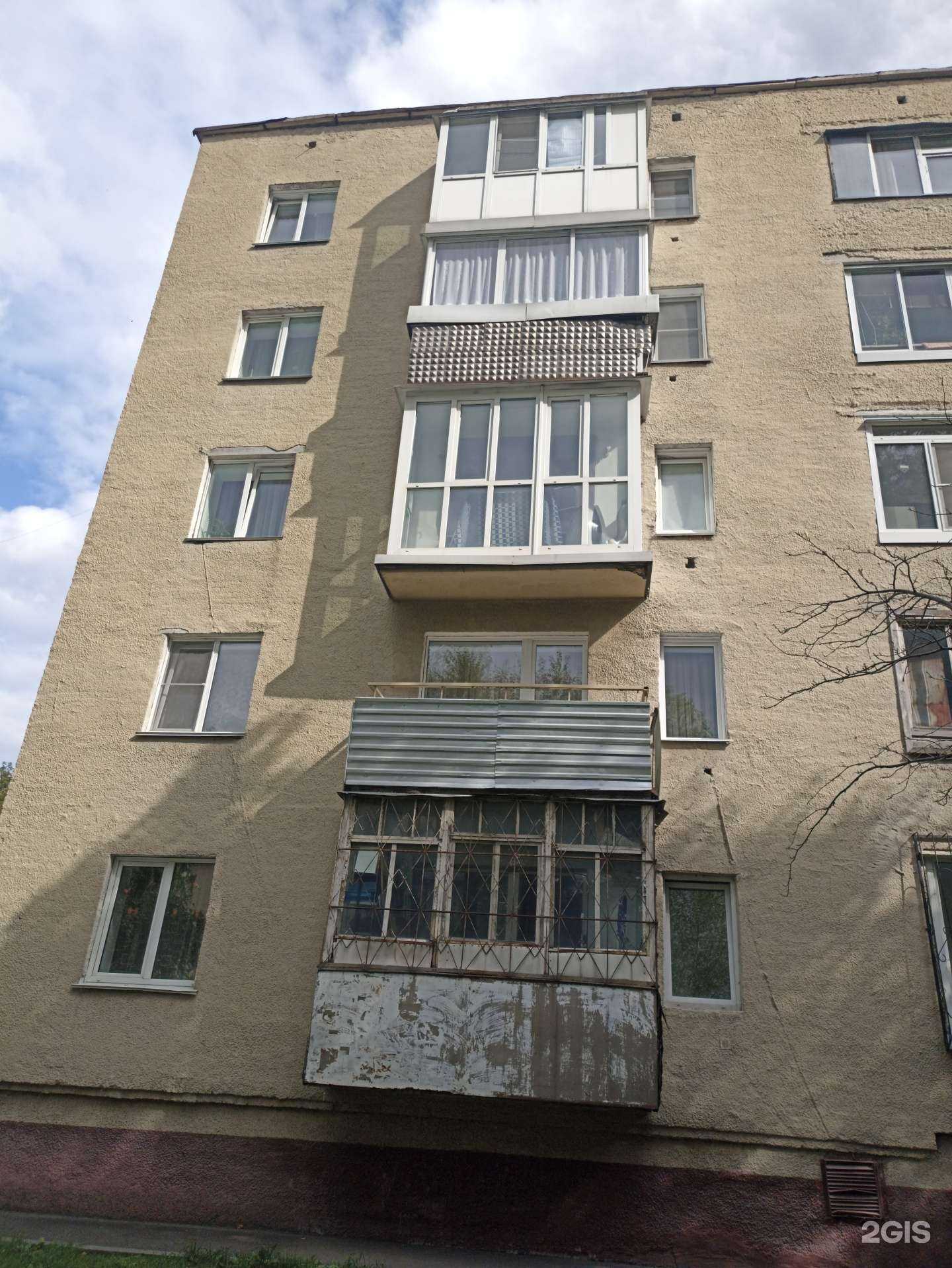 Отзывы на компанию bamboo rolls в Кемерове c фото - фотография 2 из 2